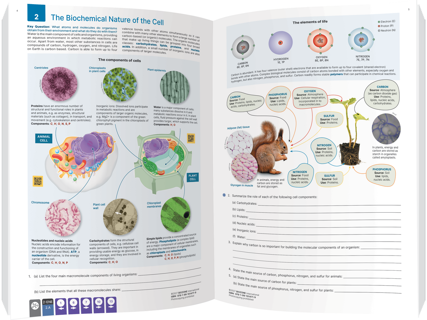 AP Biology - Student Edition (4th Edition)