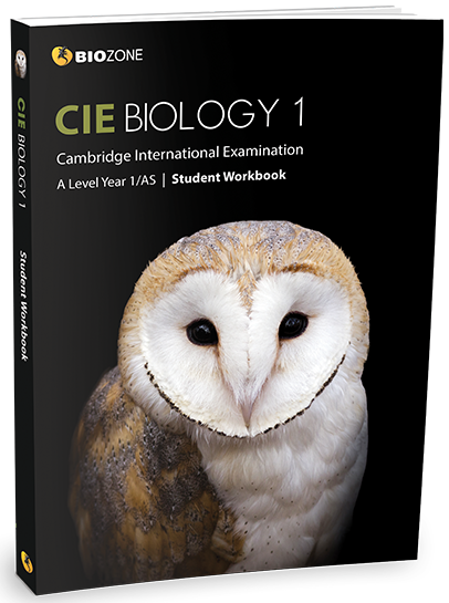 Cambridge International Exams