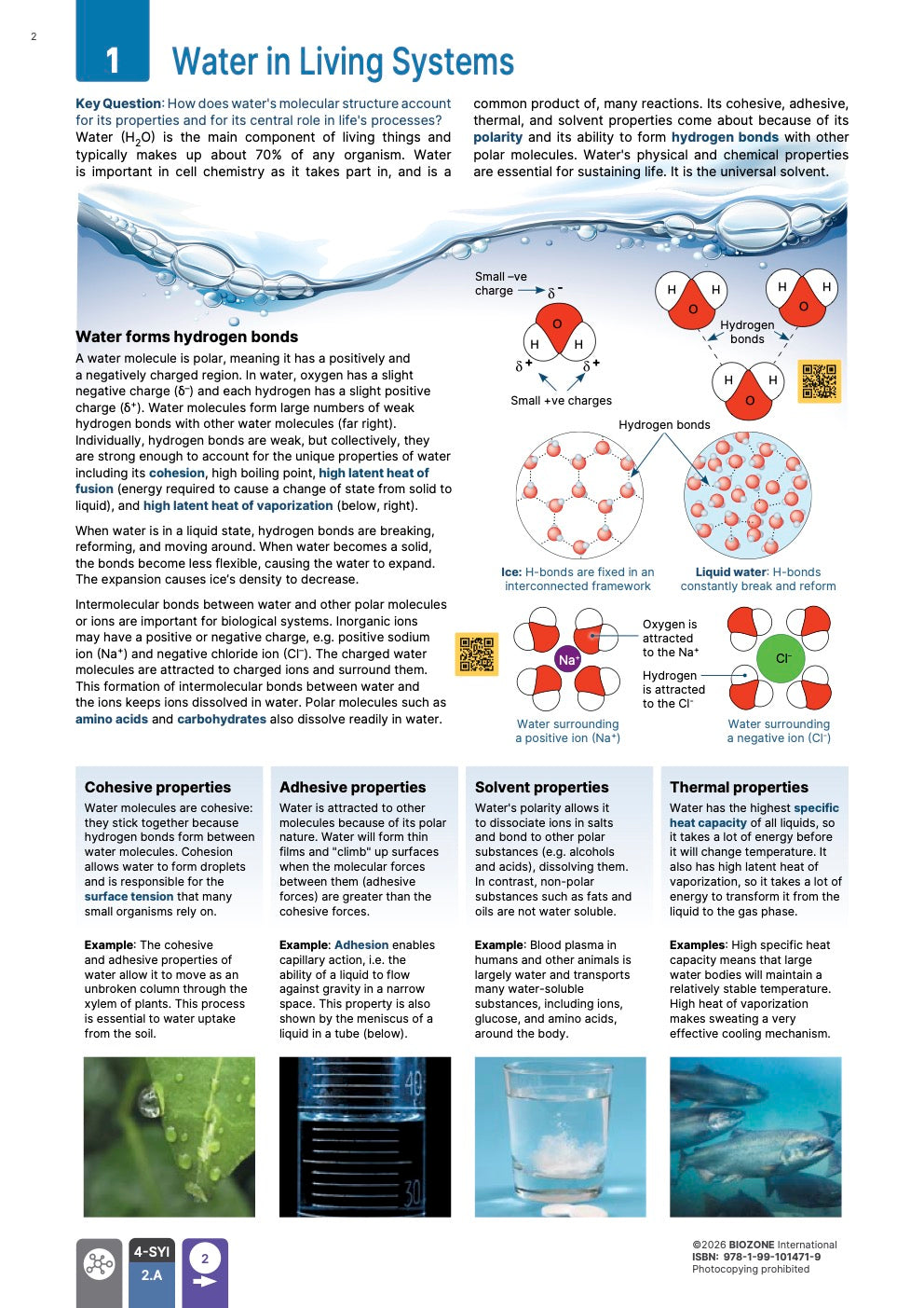 AP Biology  - Student Edition (4th Edition)