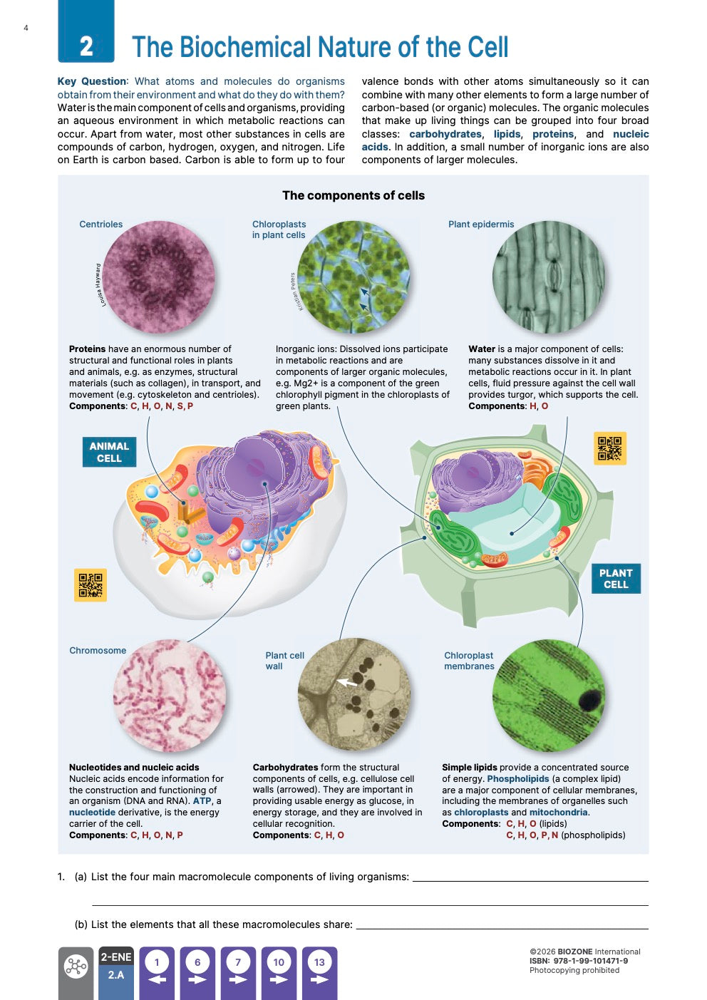 AP Biology  - Student Edition (4th Edition)