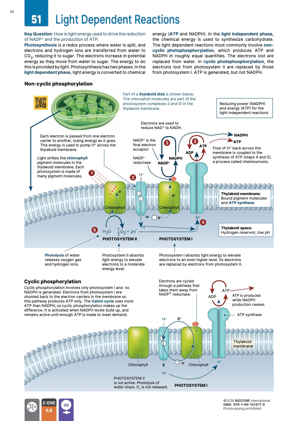 AP Biology  - Student Edition (4th Edition)