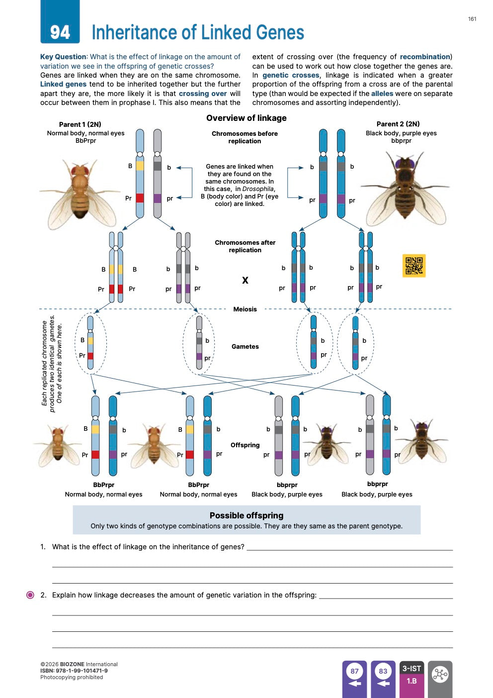 AP Biology  - Student Edition (4th Edition)