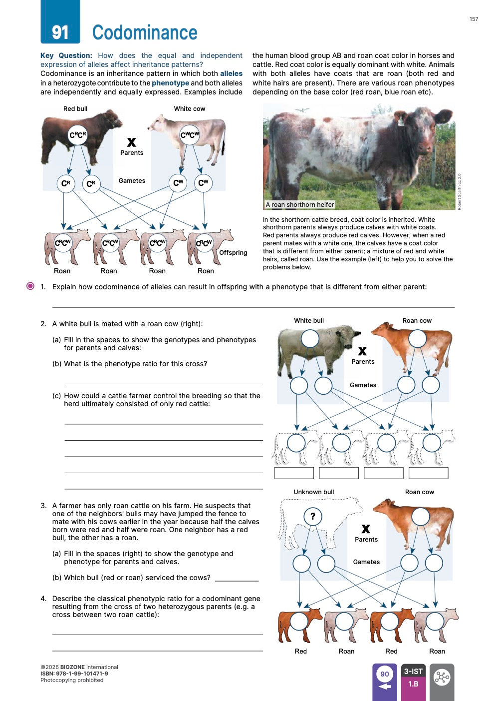 AP Biology  - Student Edition (4th Edition)