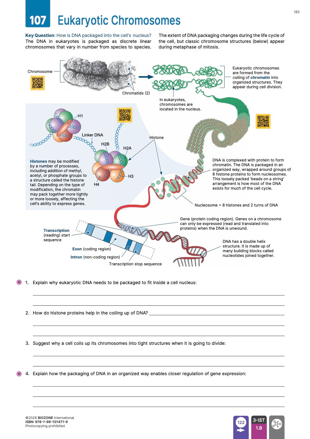 AP Biology  - Student Edition (4th Edition)