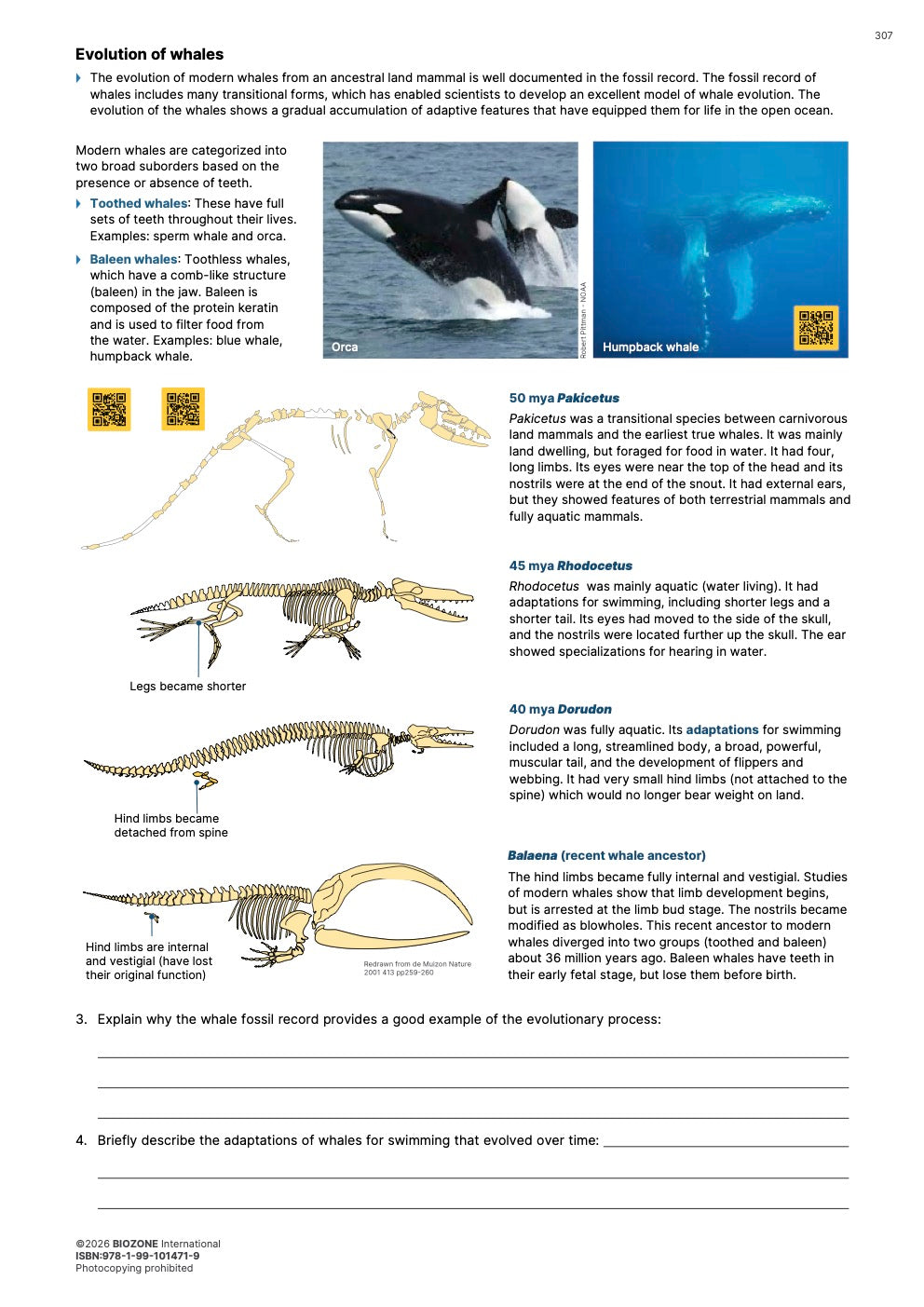 AP Biology  - Student Edition (4th Edition)