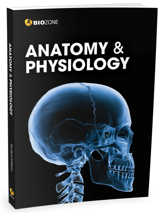 Anatomy & Physiology - Student Edition (3rd Ed)