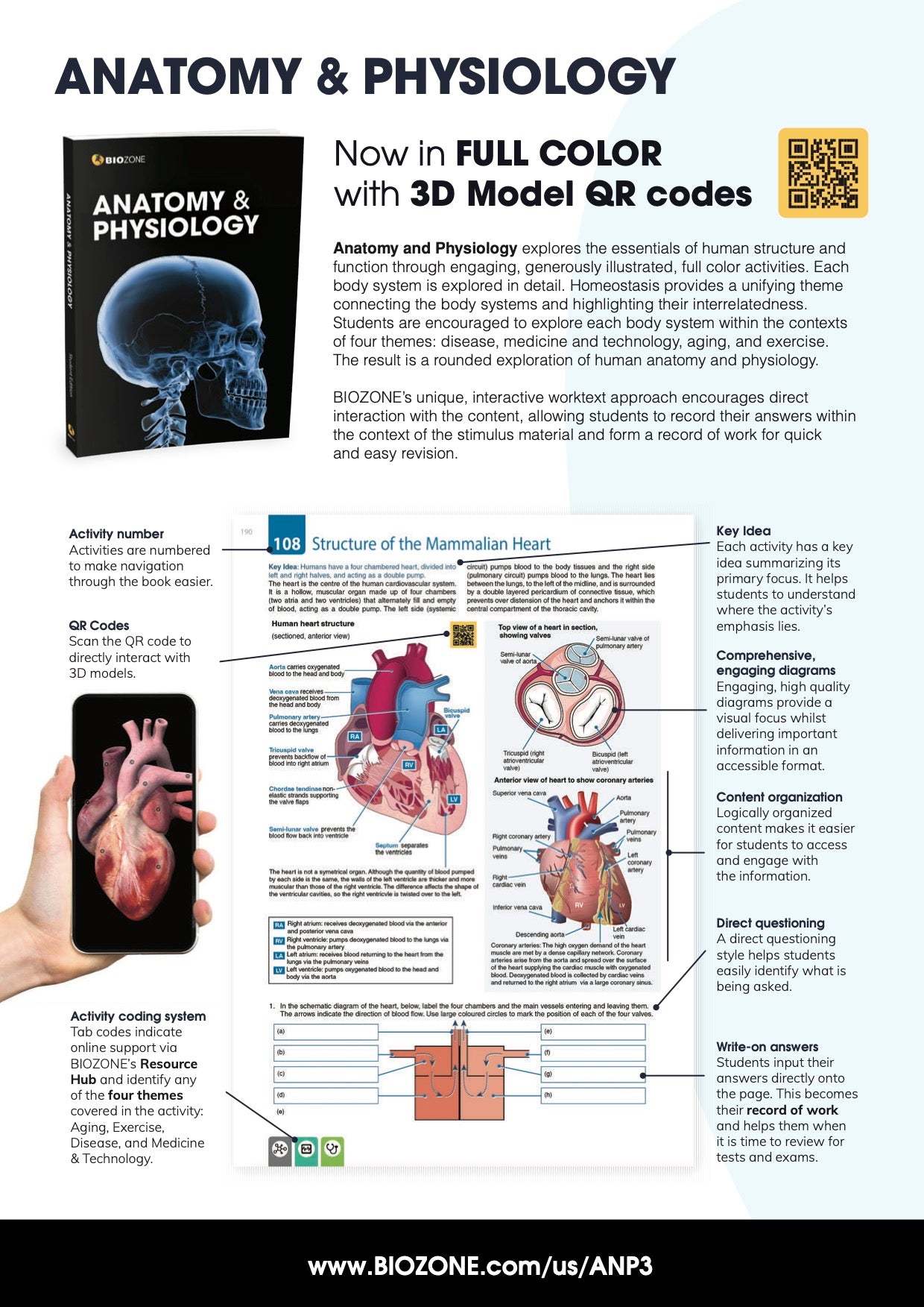 Anatomy & Physiology - Student Edition (3rd Ed)