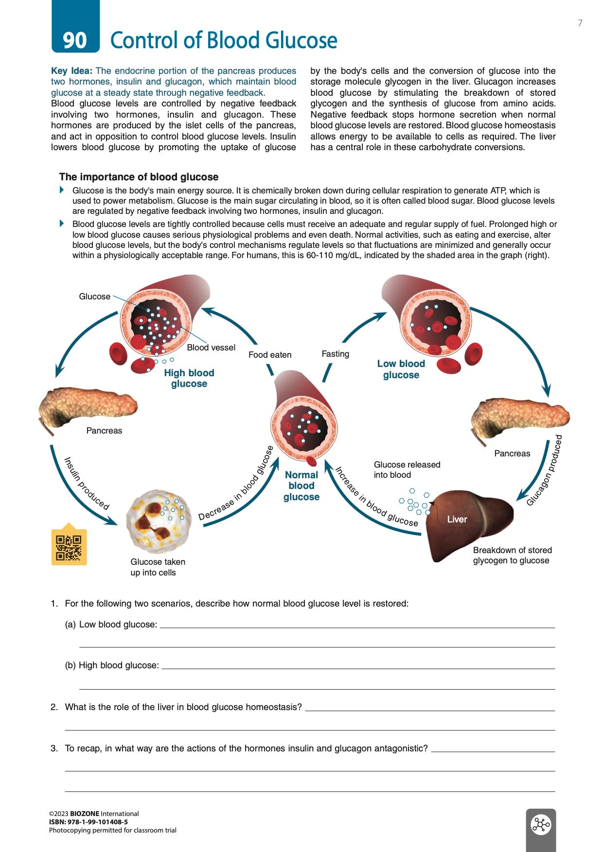 Anatomy & Physiology - Student Edition (3rd Ed)