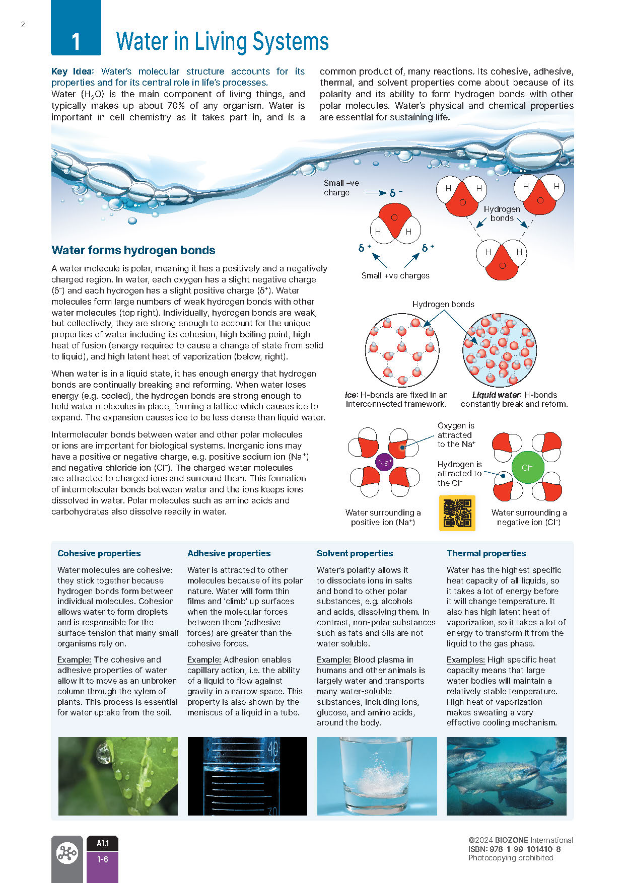 IB Biology - Student Workbook (3rd Edition)