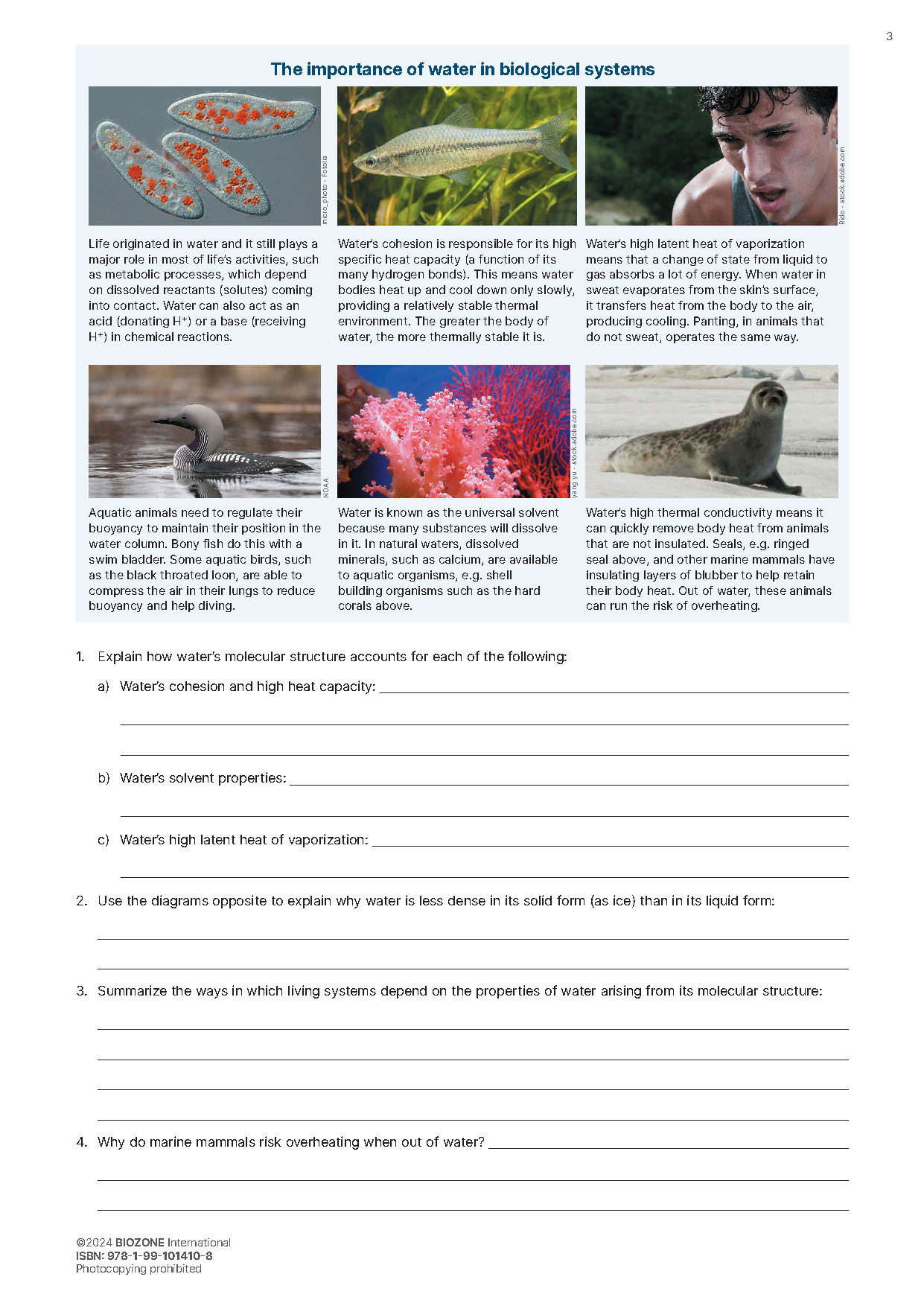 IB Biology - Student Workbook (3rd Edition)