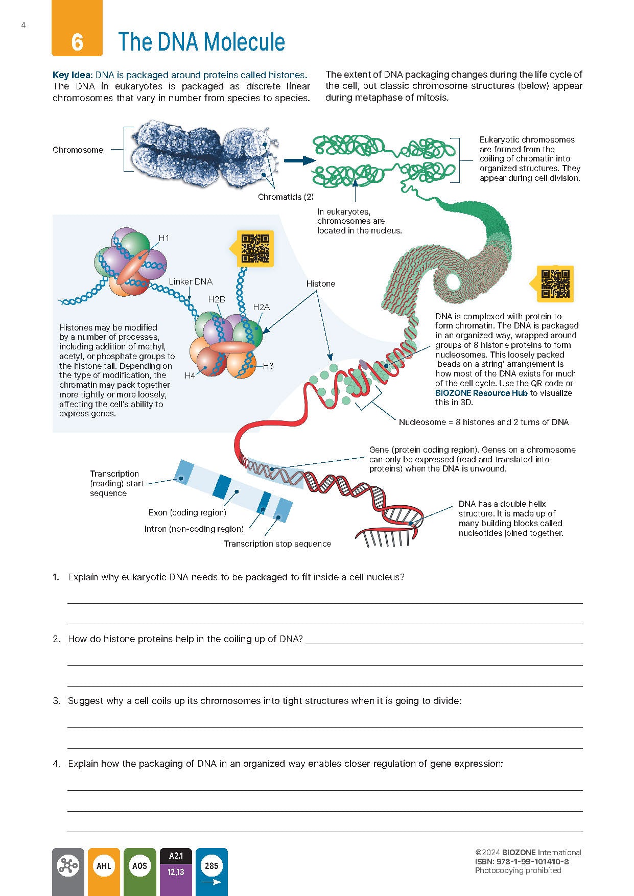 IB Biology - Student Workbook (3rd Edition)