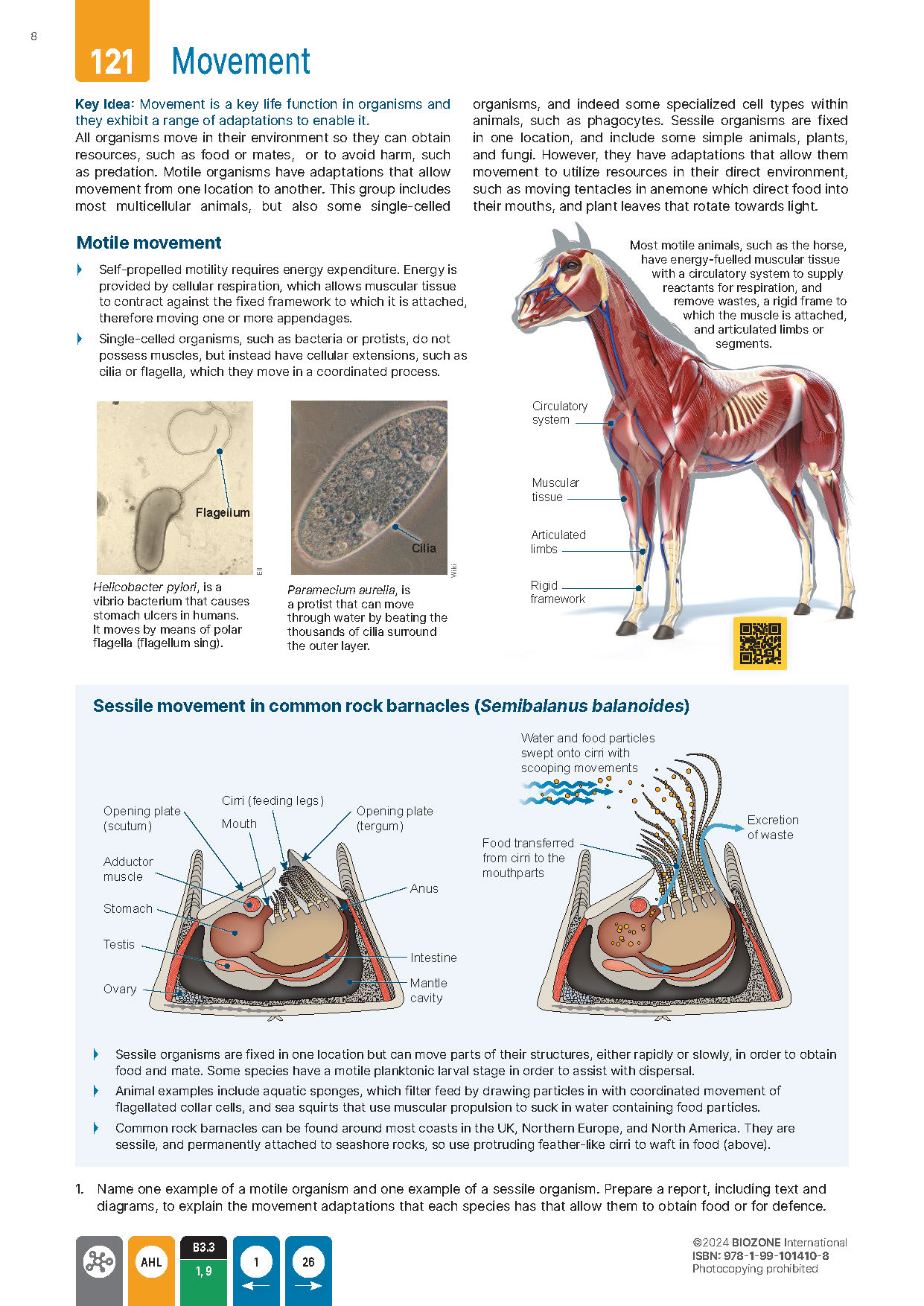 IB Biology - Student Workbook (3rd Edition)