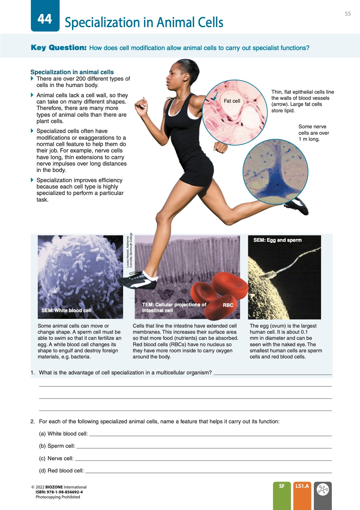 Biology for NGSS (3rd Ed) - Student Edition
