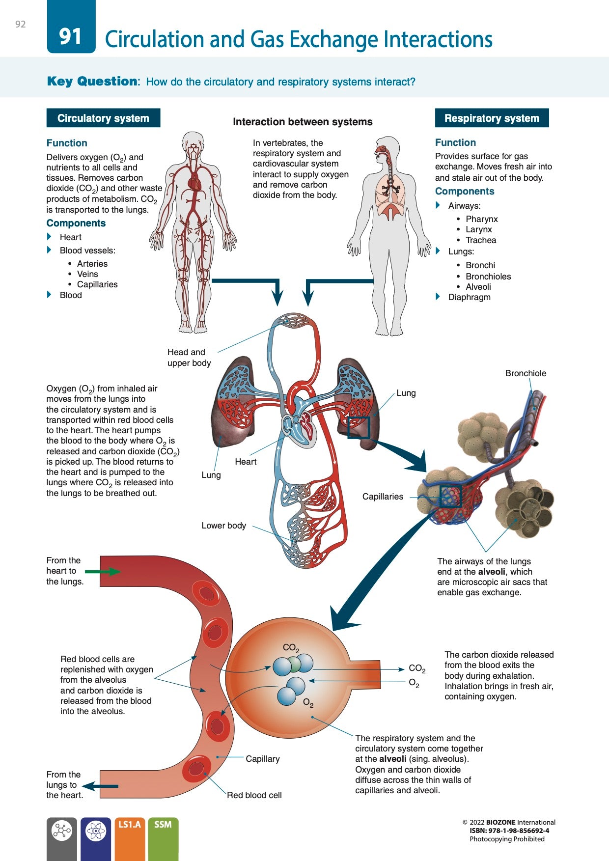 Biology for NGSS (3rd Ed) - Student Edition