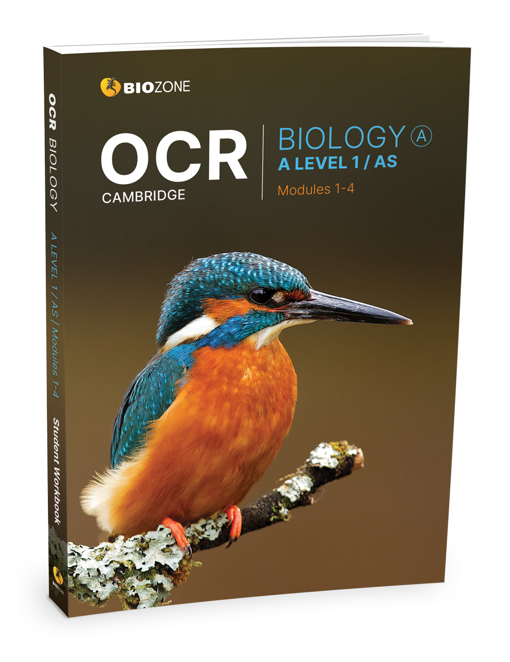 OCR Biology A: A - Level 1 / AS