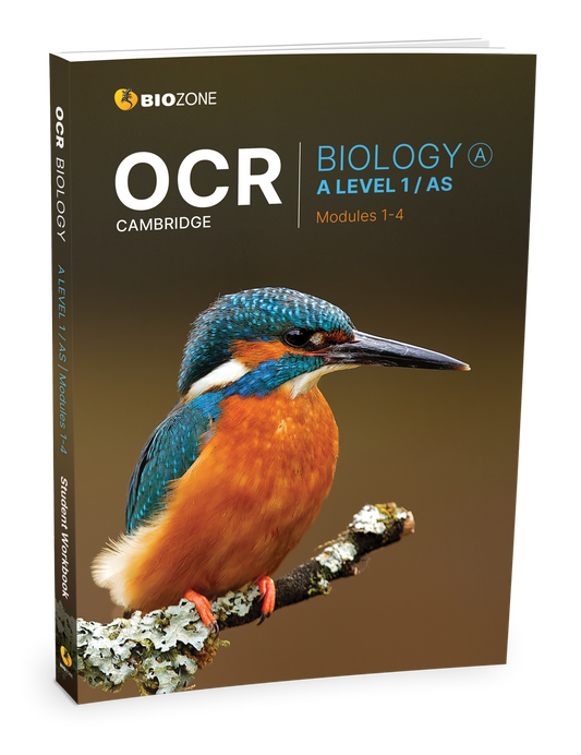 OCR Biology A: A - Level 1 / AS