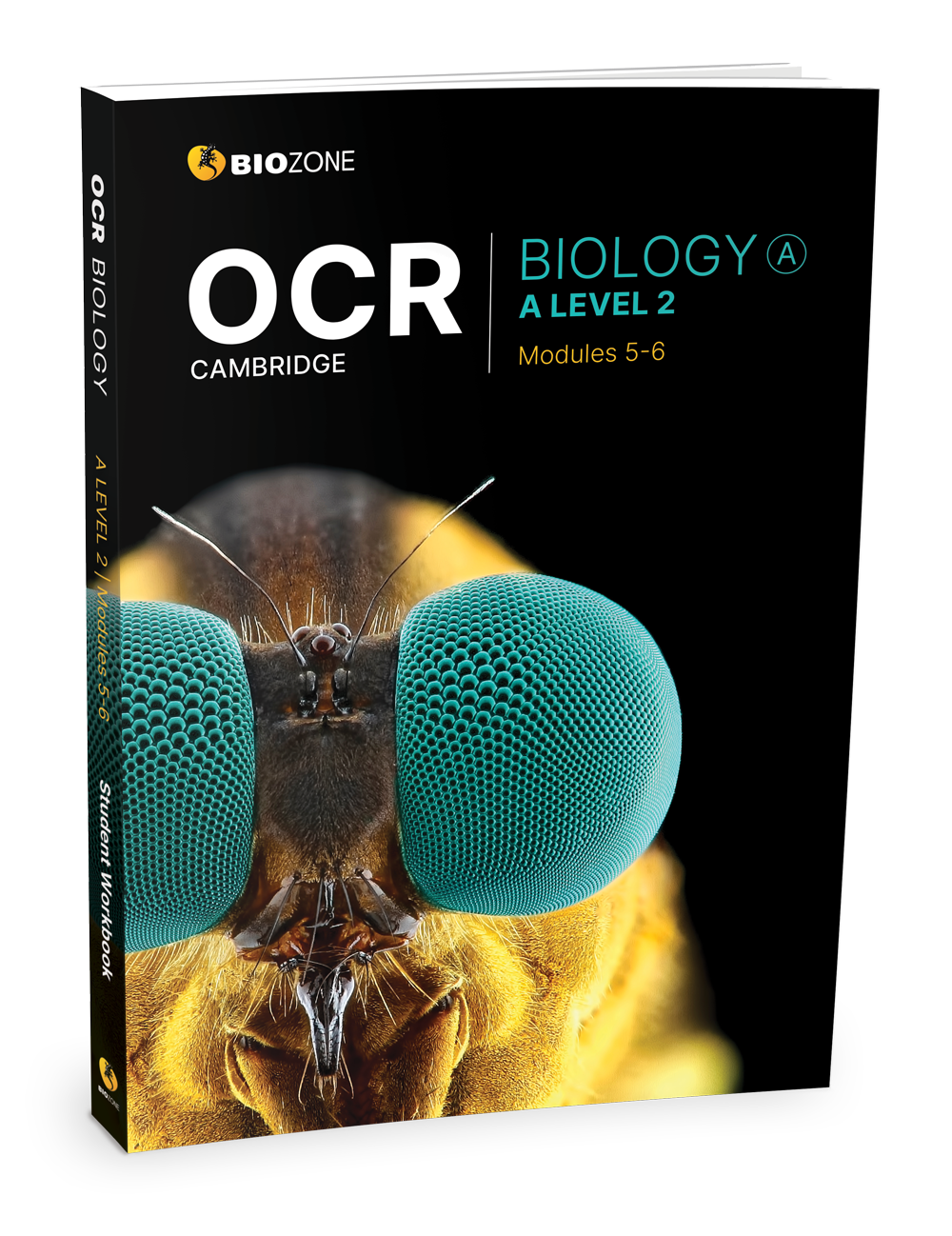 OCR: A Level Biology