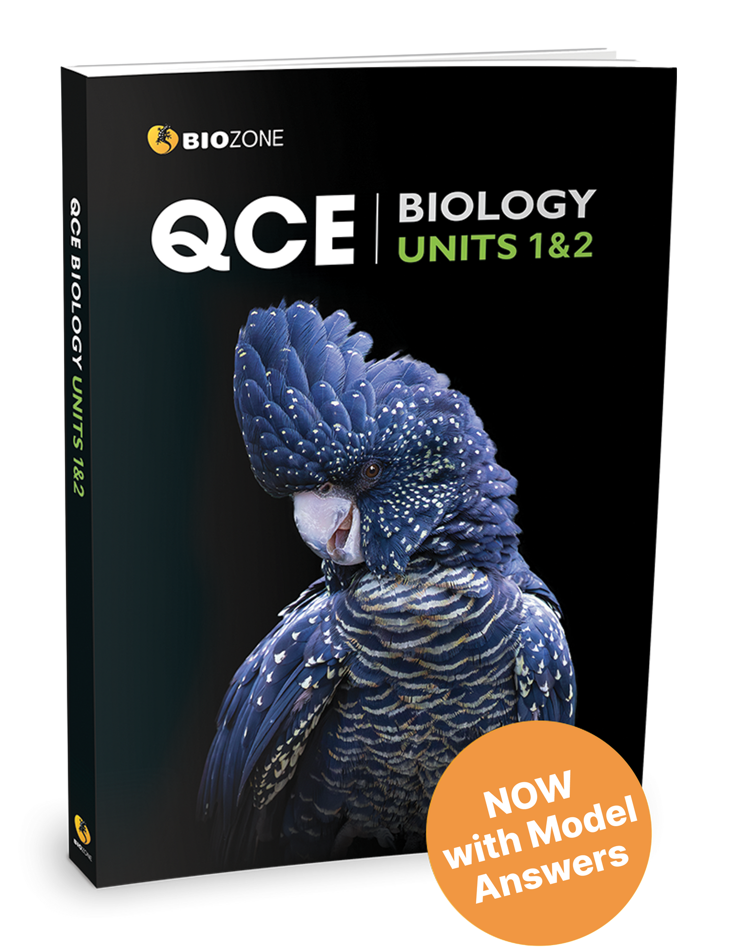 Queensland Certificate of Education (QCE)